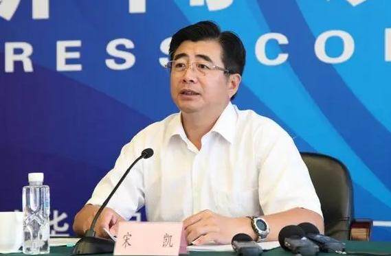 开云体育娱乐-宋凯当选足协主席孙雯任副主席 王霜郑智入选执委